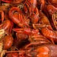 0.5 Lb Crawfish